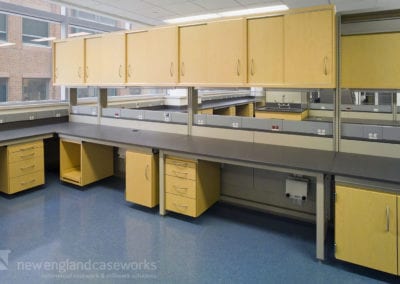 Boston Medical Center Laboratory