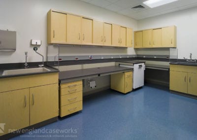 Boston Medical Center Laboratory