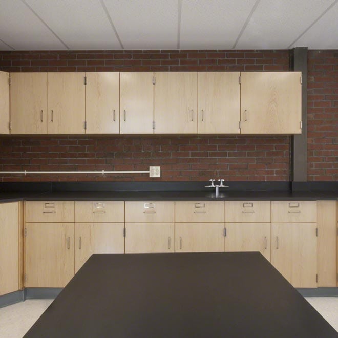 school caseworks: classroom cabinets