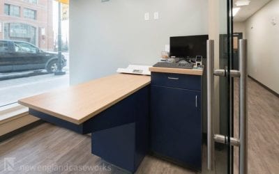 Completed Project: Boston Veterinary Clinic Seaport Office & Exam Rooms – Boston, MA