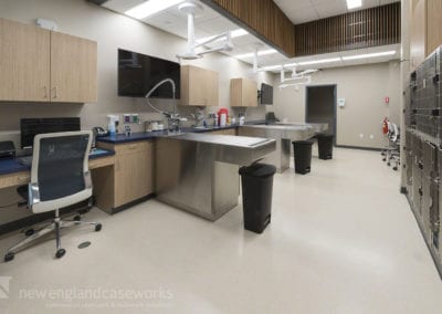 Boston Veterinary Clinic