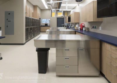 Boston Veterinary Clinic