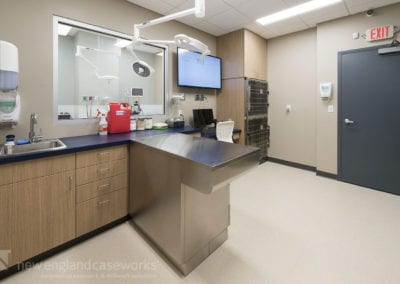 Boston Veterinary Clinic